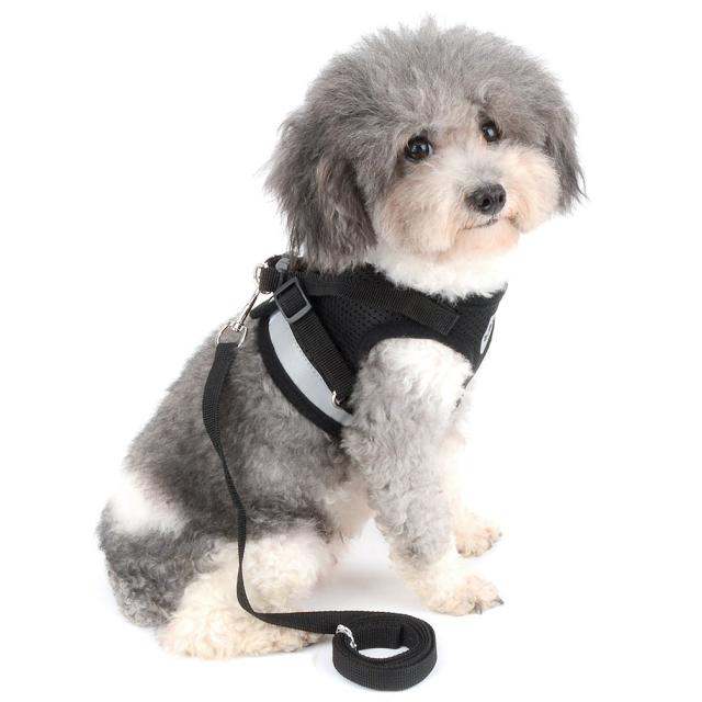メッシュ 犬用 ハーネス 胴輪 リード セット 超小型犬 小型犬 子犬 猫 散歩 RANPHY メッシュ 犬用 ハーネス 胴輪 反射材料付き リード セット 超