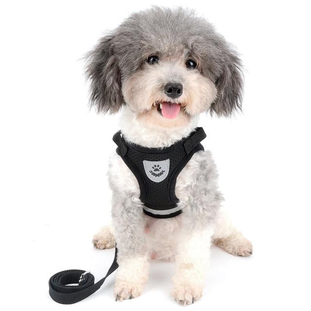 RANPHY メッシュ 犬用 ハーネス 胴輪 反射材料付き リード セット 超