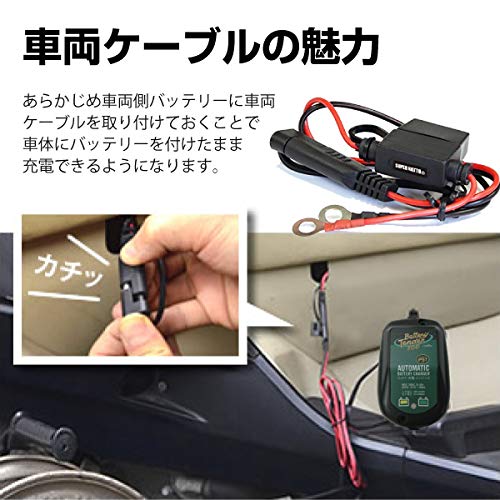 【限定モデル】 バッテリーテンダー800＋車両ケーブル スーパーナット ハーレー対応 Deltran Battery Tender フロート充電機能でフル充電