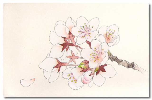 吉祥 日本画用絵具 角顔彩 上製 60色