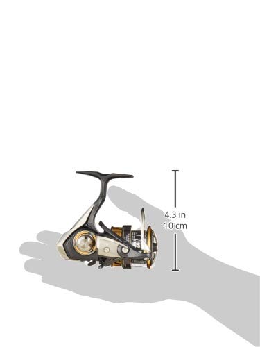 ダイワ(DAIWA) スピニングリール 18 レガリス LT3000-CXH(2018モデル