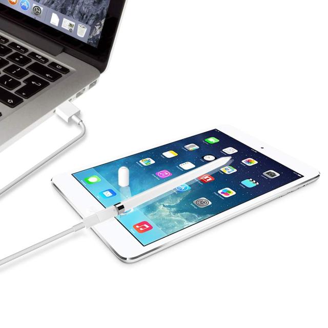 Apple Pencil 充電 アダプタ 交換用キャップ アップルペンシル