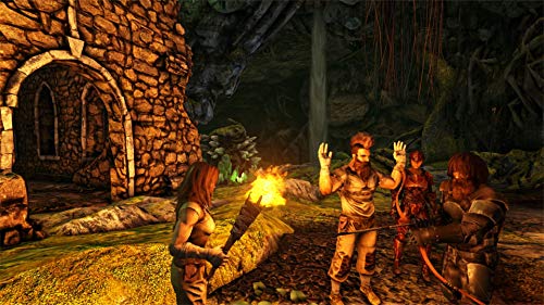 Nintendo Switch - ARK: Survival Evolved (輸入版:北米)日本語選択可能 ARK: Survival Evolved (輸入版:北米)日本語選択可能 - Nintendo
