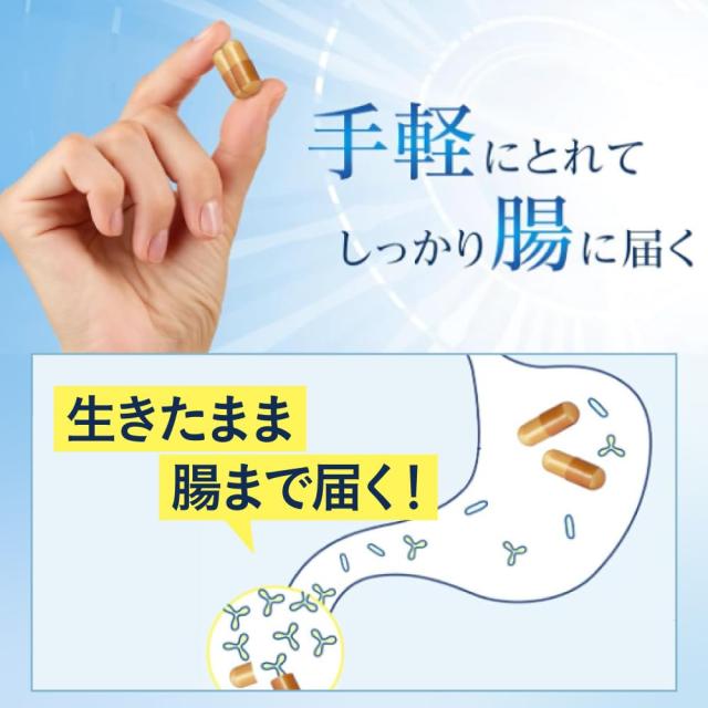 6/5値下げ　新品　森永ビヒダス　大腸のキホン Amazon.co.jp 限定】【森永乳業 公式】森永ビヒダス 大腸のキホン