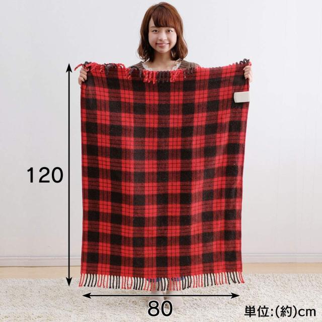 アイリスオーヤマ 電気毛布 敷き 洗える 80×120cm ダニ退治 シングル キャンプ 節電 省エネ 室温センサー機能 スライド温度調整 敷き毛_6