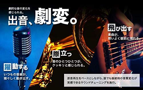 Pioneer パイオニア パワーアンプ GM-D8100 600W×1 モノラルパワーアンプ カロッツェリア
