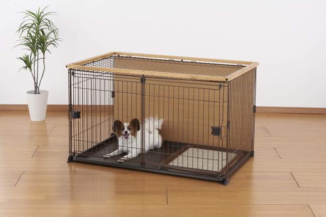ボンビアルコン (Bonbi) ダブルワンサークル S サイズ_5