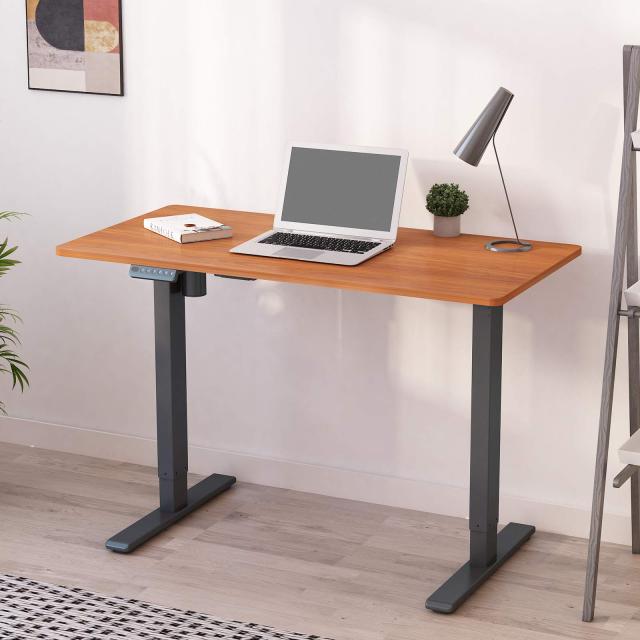 FLEXISPOT スタンディングデスク 電動式 昇降デスク 高さ調節デスク