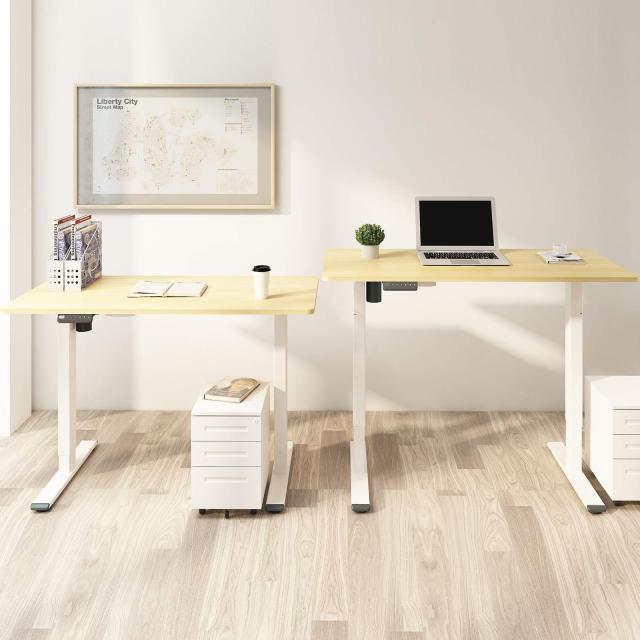 FLEXISPOT 電動式スタンディングデスク(幅120×奥行60,メモリー