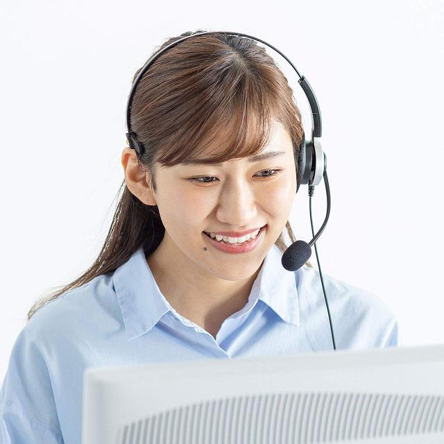 サンワサプライ 電話用ヘッドセット(片耳タイプ) MM-HSRJ02