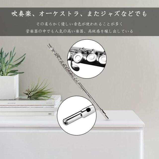 Seika 16穴 Cキー フルート セット 初心者・上級者向け 高級白銅
