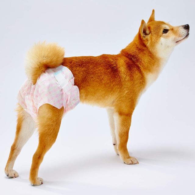 【Amazon.co.jp限定】ペティオ (Petio) Petzone(ペットゾーン)エチケットウェア女の子用 Mサイズ 34枚入×4個 (ケース販売)_1
