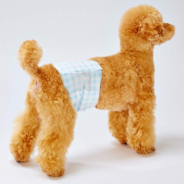 【Amazon.co.jp限定】ペティオ (Petio) Petzone(ペットゾーン) エチケットウェア男の子用 SSサイズ 48枚入×4個 (ケース販売)_1