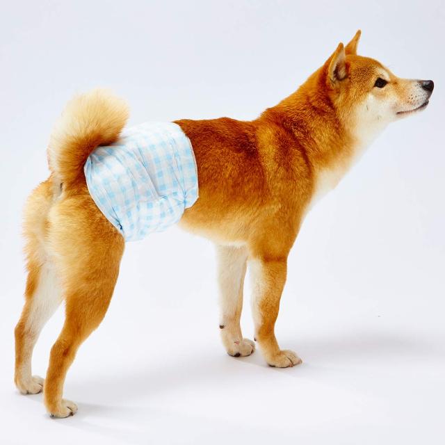 【Amazon.co.jp限定】ペティオ (Petio) Petzone(ペットゾーン) エチケットウェア男の子用 Mサイズ 38枚入×4個 (ケース販売)_1