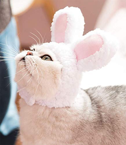 [本日限定価格♪]ネオブライス　白猫　被り物　帽子　ねこ 本日限定価格♪]ネオブライス白猫被り物帽子ねこ