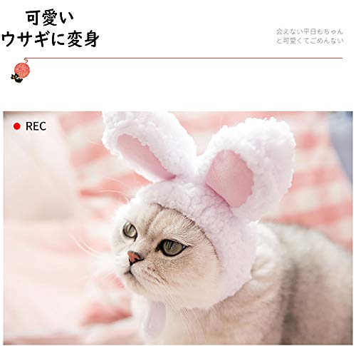 ☆アンブレラと帽子とウサギが素敵な猫ちゃんチャーム☆ ハロウィン 魔女帽子 うさぎ・ペット・ぬいぐるみ ペット服