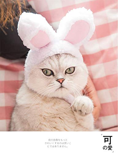 ☆アンブレラと帽子とウサギが素敵な猫ちゃんチャーム☆ ハロウィン 魔女帽子 うさぎ・ペット・ぬいぐるみ ペット服
