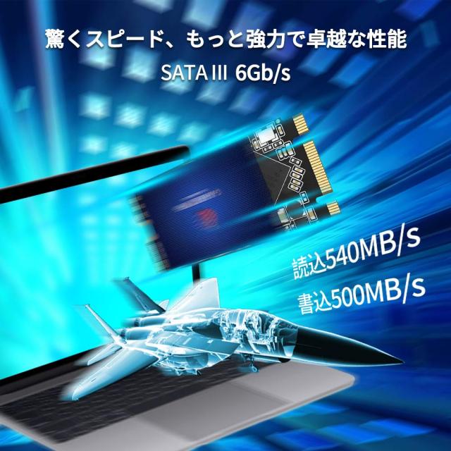 GamerKing M.2 2242 SSD 1TB SATA III 6Gb/s NGFF 内蔵型 Solid State