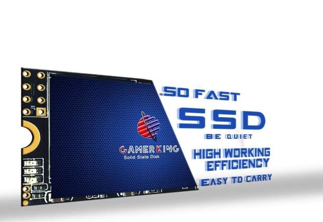 GamerKing M.2 2242 SSD 1TB SATA III 6Gb/s NGFF 内蔵型 Solid State