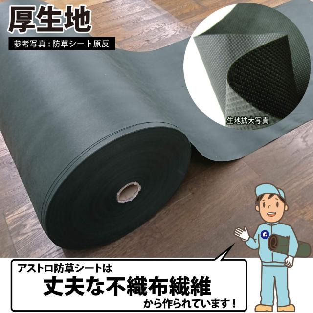 アストロ 防草シート グリーン 1×10m 10枚組 不織布 厚手 高透水 UV耐候剤配合 高耐久 602-54_1