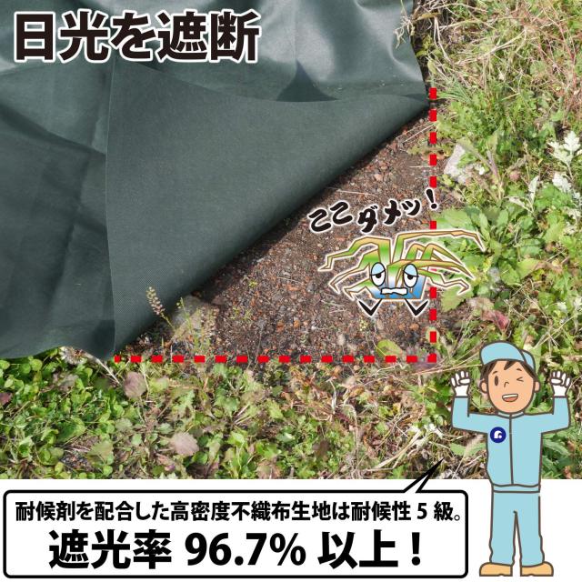 アストロ 防草シート グリーン 1×10m 10枚組 不織布 厚手 高透水 UV耐候剤配合 高耐久 602-54_2