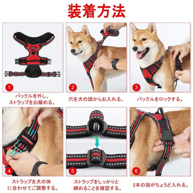 いぬ 犬服 ハーネス 胴輪[品番：NX000005684]｜K-city（ケイシティ