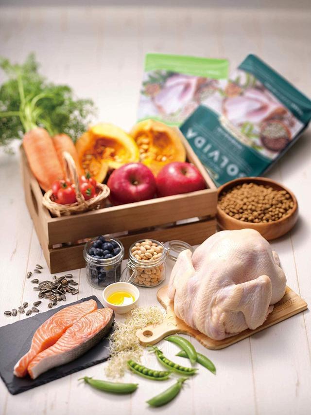 ソルビダ グレインフリー チキン 室内飼育子犬用 5.8kg【在庫限り