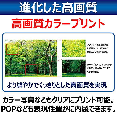 Canon キヤノン A4カラーレーザープリンター Satera LBP621Cの通販は