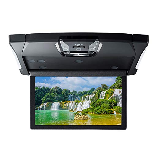 アルパイン(ALPINE) 10.1型 WSVGA液晶 ルームライト有り HDMI入力付き 