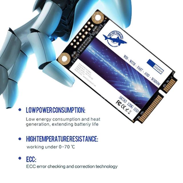 Dogfish Msata 250GB 内蔵型 Solid State Drive 3年保証 PC/ノート/パソコン/適用 ソリッドステートドライブ SSD (250GB, MSATA)_1