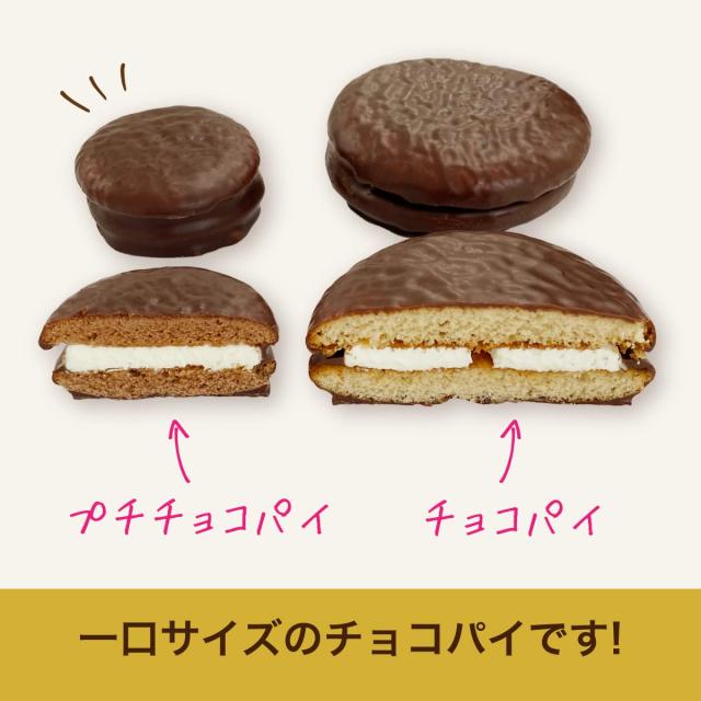 チョコパイアッチさん専用 ノワゼット｜Patchi / パッチ チョコレートギフト｜ギフト
