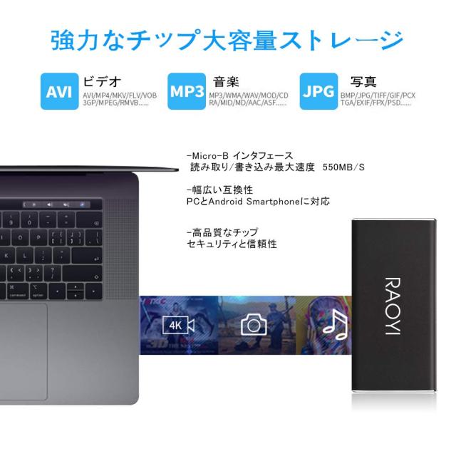 RAOYI 外付けSSD 500GB USB3.1 Gen2 ポータブルSSD 転送速度最大550MB/秒 PS4動作確認済 超薄型・超高速Type-A/Type-C 耐衝撃 防滴 黒