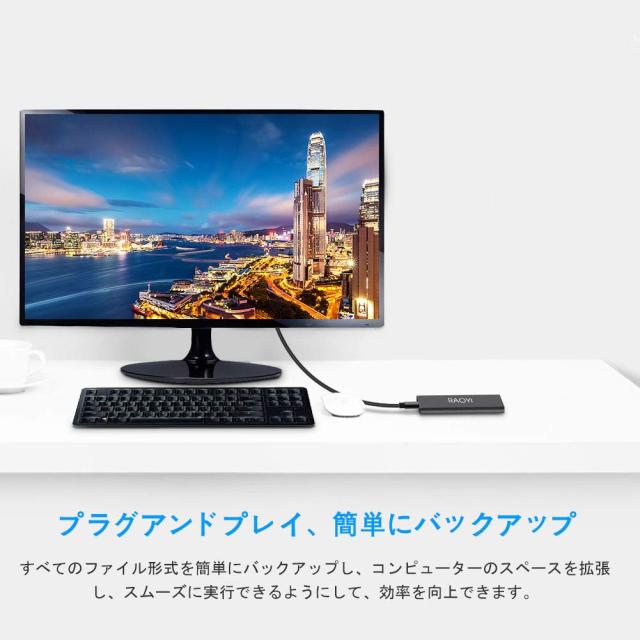 RAOYI 外付けSSD 500GB USB3.1 Gen2 ポータブルSSD 転送速度最大550MB/秒 PS4動作確認済 超薄型・超高速Type-A/Type-C 耐衝撃 防滴 黒