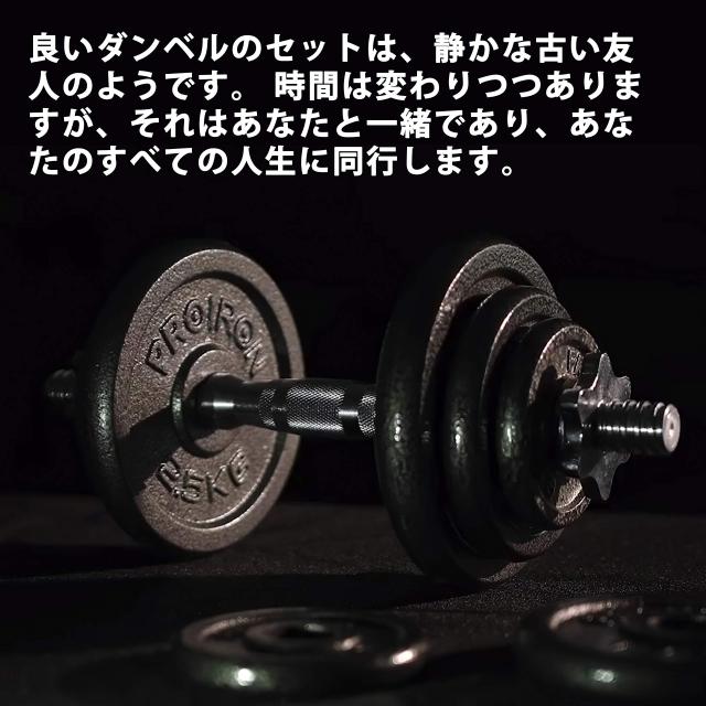 PROIRON ダンベル プレートバーベル プレート 10kg 2個セット 穴径25ｍｍ 鋳鉄製 トレーニングバンパープレート_5