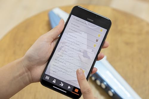 ローランド Roland/AEROPHONE AE-01 デジタル管楽器 リコーダー運指 アプリ/Bluetooth対応