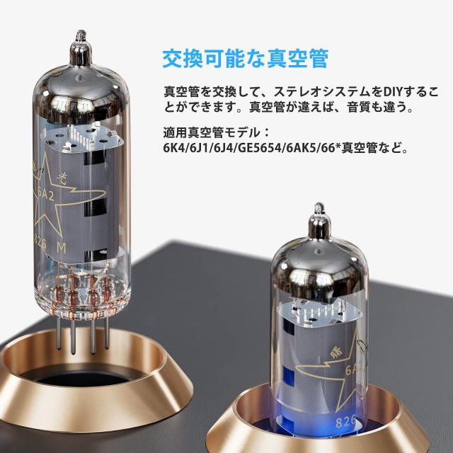 Fosi Audio BOX X2 プリアンプ MM ターンテーブル 6A2真空管 フォノ