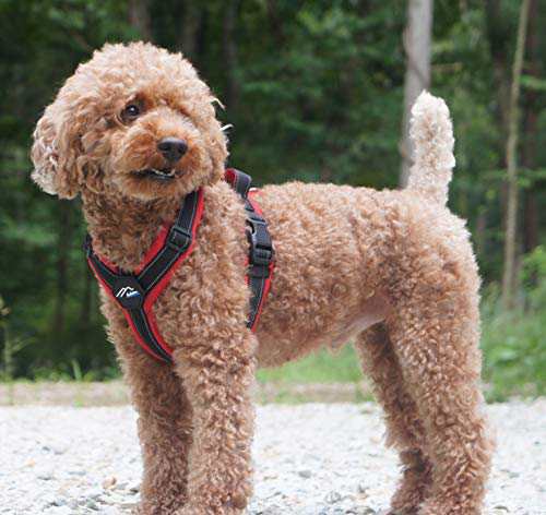 Hakusan ゼロハーネス 負担軽減 犬用ハーネス サイズ調整可 簡単着脱 夜間反射材 軽量 通気 ハンドル付き ネームプレート S サイズ レッの通販は