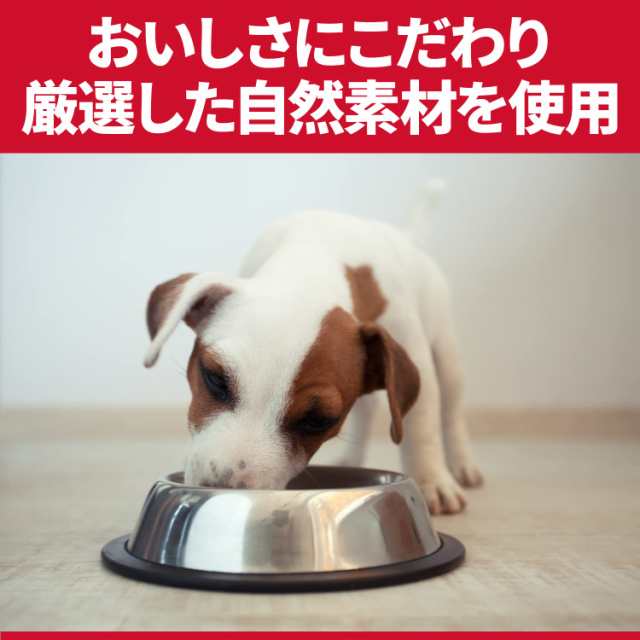 ヒルズ サイエンス・ダイエット ドッグフード 小型犬用 アダルト 1~6歳 チキン 5ｋg 成犬用 ドライ