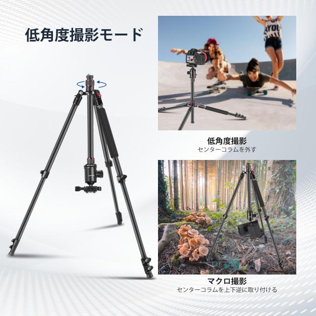 NEEWER カメラ三脚一脚 197cm DSLRカメラ用 360度ボールヘッド 2軸 