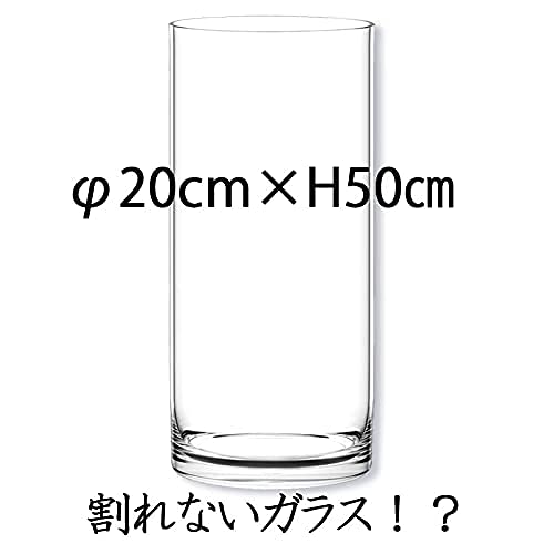 FOYER 割れない 花瓶 フラワーベース ポリカーボネート おしゃれ 大きい Amazon.co.jp: FOYER 割れない 花瓶 フラワーベース