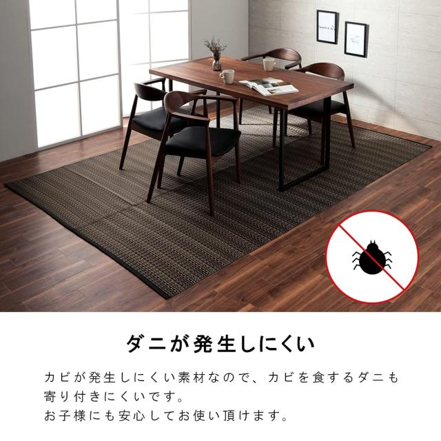イケヒコ ラグ カーペット 日本製 ポリプロピレン カーペット バルカン 本間4.5畳 ネイビー 洗える 畳 上敷き ござ ゴザ い草調 おしゃれ_3