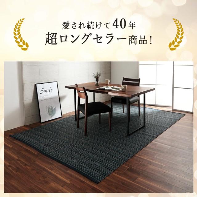 イケヒコ ラグ カーペット 日本製 ポリプロピレン カーペット バルカン 本間4.5畳 ネイビー 洗える 畳 上敷き ござ ゴザ い草調 おしゃれ_6