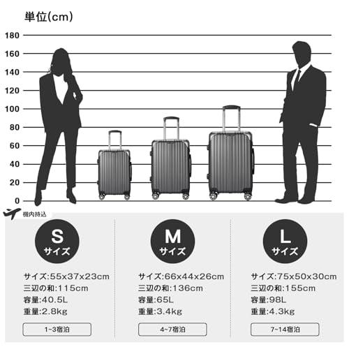 [VARNIC] スーツケース キャリーバッグ  ダブルキャスター 耐衝撃  TSAローク搭載 (S サイズ(40.5L, 灰)