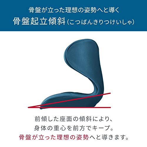 スタイル スマート/Style SMART (ネイビー) MTG エムティージー