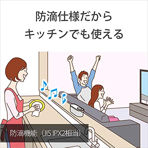 ソニー(SONY) お手元テレビスピーカー かんたん操作/防滴対応 / 「声」専用スピーカー搭載 テレビリモコン一体型 2020年モデル SRS-LSR20_5