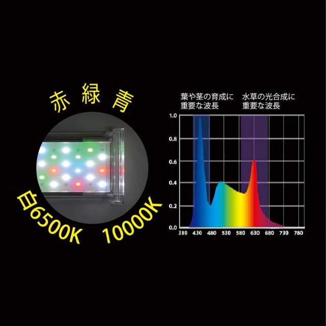 ゼンスイ ナノ レビル(nano LeviL) 水草育成用 ホワイト 450_3