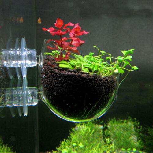 3個セット ガラス 水槽鉢 水草ポット スカイガーデン 水草 水槽