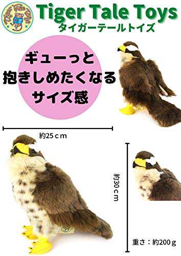 ハヤブサ 鳥 鷹 ぬいぐるみ リアル 23センチ ペット 大きい Falcon バード 鳥類 タカ トリ かっこいい 男の子 女の子  【日本正規品】｜au PAY マーケット