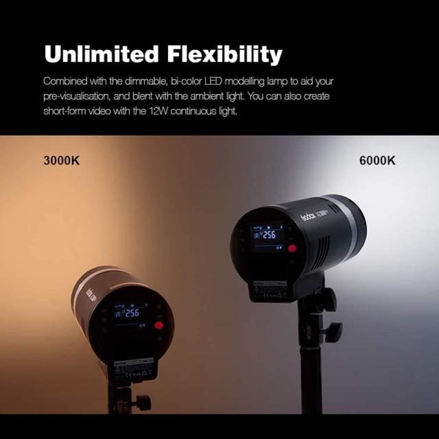【Godox正規代理】Godox AD300Pro フラッシュストロボ TTL 2.4G スタジオ向け 300W 1/8000 HSS 2色モデリング5600±100K 0.01-1.8Sリサイ