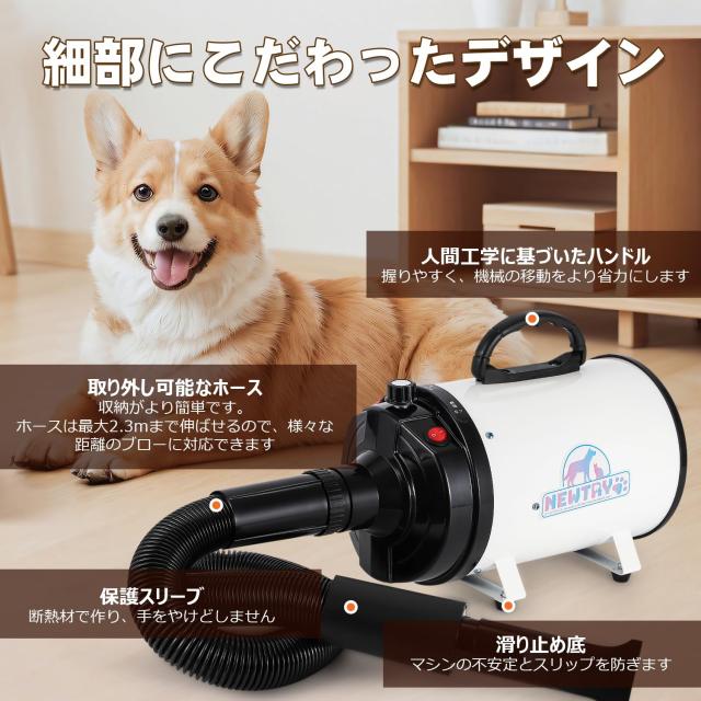 ちか　送料分として ZX-(8)POLHUB-(1)｜テルワールド（NTT中古ビジネスフォン販売店）